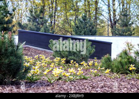 Bunte Blumen und Nadelpflanzen vor dem Haus Stockfoto