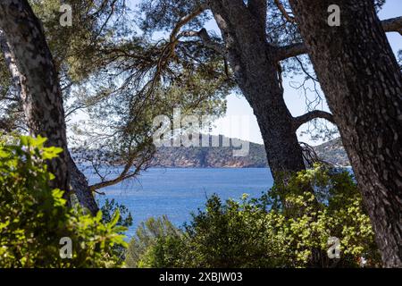 Archipel vor Hyeres im Mittelmeer Stockfoto