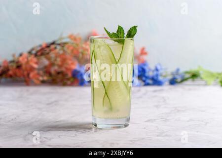 Bei dieser alkoholfreien Limonade werden dünne Gurkenscheiben gegen das Innere des Glases gepresst und Minzblätter auf das Getränk gelegt. Stockfoto