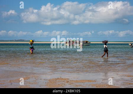 Mosambik, Inhambane, Vilankulo, sehr Ebbe Stockfoto