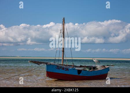 Mosambik, Inhambane, Vilankulo, sehr Ebbe Stockfoto