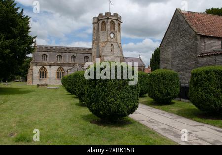 The Church of St Michael and All Angels, Somerton, Somerset, England, Großbritannien Stockfoto