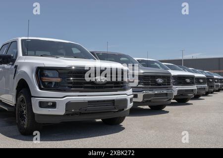 Lafayette - 11. Juni 2024: Ford F-150 wird in einem Händlerbetrieb ausgestellt. Der Ford F150 ist erhältlich in XL, XLT, Lariat, King Ranch, Platinum, und limitierte Modelle Stockfoto