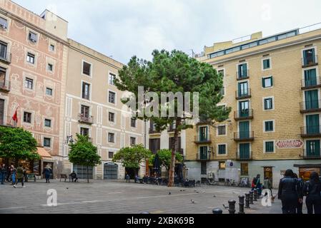 BARCELONA, KATALONIEN, SPANIEN - 2024, 19. April: Typischer katalonischer Platz im gotischen Viertel Stockfoto