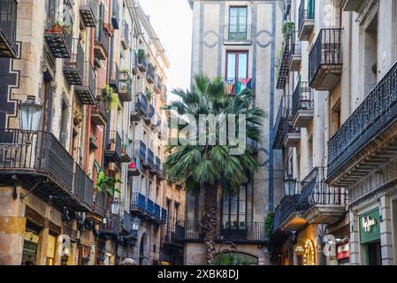 BARCELONA, KATALONIEN, SPANIEN - 2024, 19. April: Gotisches Viertel Architektur-barri Gòtic Stockfoto