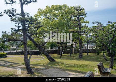 Bäume im Peace Memorial Park auf Hiroshima Japan Stockfoto