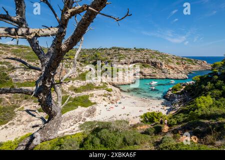 Strand Caló des Marmols, Santany, Mallorca, Balearen, Spanien Stockfoto