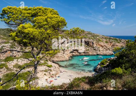 Strand Caló des Marmols, Santany, Mallorca, Balearen, Spanien Stockfoto