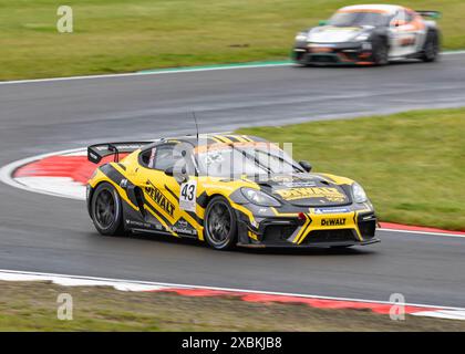 Thomas Bradshaw Porsche Sprint Challenge Great Britain Championship Snetterton Circuit, Norwich, Norfolk, Vereinigtes Königreich 26. Mai 2024 Stockfoto