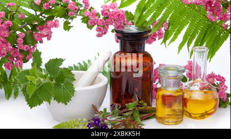 Natürliche heilende Inhaltsstoffe und Öle Stockfoto