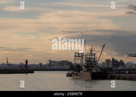 Hafen von Kushiro in der Abenddämmerung mit Fischereifahrzeugen vor Anker Stockfoto