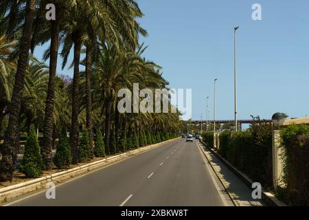 Almeria, Spanien - 25. Mai 2023: Eine gerade, gepflasterte Straße gesäumt von Palmen in Almeria, Spanien an einem klaren Tag. Stockfoto