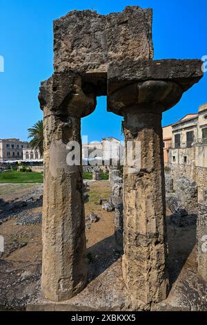 Der Apollo-Tempel ist eines der wichtigsten antiken griechischen Denkmäler auf Ortygia, vor der Piazza Pancali in Syrakus, Sizilien, Italien Stockfoto