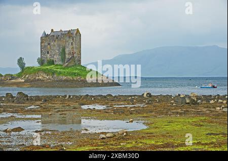 Castle Stalker befindet sich an einem Fluteinfluss von Loch Linnie, Loch Laich und ist eine ruinöse vierstöckige Turmhaus oder Donjon Stockfoto