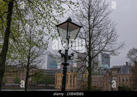 Eine Laterne steht zwischen Bäumen vor historischen Gebäuden unter bewölktem Himmel im Frühling in Holland, den Haag, Niederlande Stockfoto