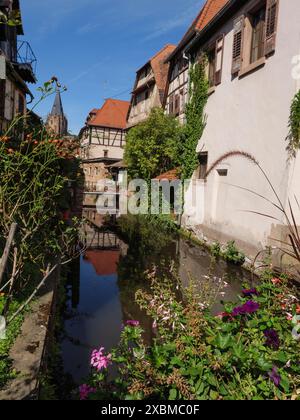 Romantischer Blick auf einen Kanal in der Altstadt mit Fachwerkhäusern und blühenden Blumen am Ufer, Wissembourg, Elsass, Frankreich Stockfoto