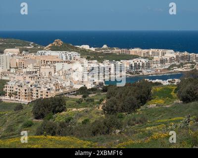 Städtisches Gebiet an der Küste mit Meer, Gebäuden und grüner Umgebung, gozo, mittelmeer, malta Stockfoto