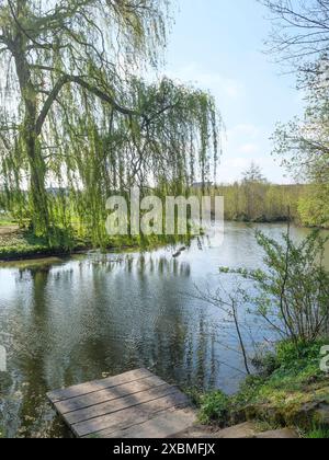 Ein ruhiger Fluss mit einem kleinen Holzsteg, umgeben von grünen Bäumen und Weiden, die über dem Wasser hängen, an einem sonnigen Frühlingstag, metelen Stockfoto