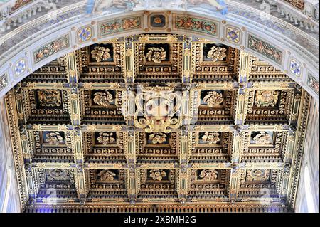 Kasettendecke im Kirchenschiff, Kathedrale Santa Maria Assunta, Pisa, Toskana, Italien, Europa, aufwendig dekorierte Renaissance-Decke mit goldener Decke Stockfoto