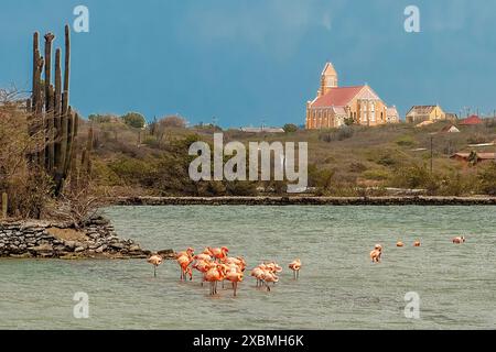 Blick in der Abenddämmerung über die Lagune mit Flamingos zur Kirche Sint Willibrordus, erbaut zwischen 1884 und 1888 in neogotischer Architektur, Karibik, Windward Stockfoto