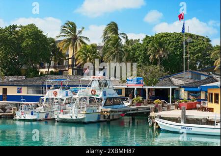 Blick auf vertäute Boote Tauchboote vor dem Tauchzentrum, Karibik, Leeward Inseln, niederländische Antillen, ABC Inseln ABC Inseln Stockfoto