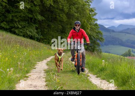 Mountainbiker und Traildog, Vizslar-Hund, der im Frühsommer neben dem Fahrrad auf den Jurahöhen läuft, Birmatt, Solothurn, Schweiz Stockfoto