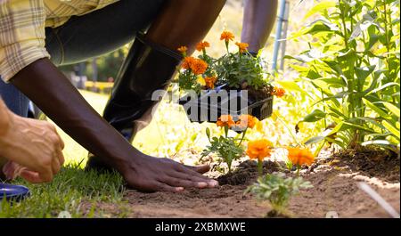 Vielfältige Paare, die gemeinsam im Garten arbeiten und leuchtende Orangenblüten in den Boden Pflanzen Stockfoto