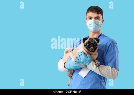 Männlicher Tierarzt in Maske mit Mops Hund auf blauem Hintergrund Stockfoto