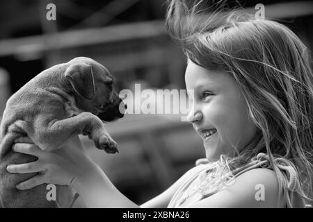 Kleines süßes, fröhliches Mädchen, das Boxerwelpen in der Luft hält Stockfoto