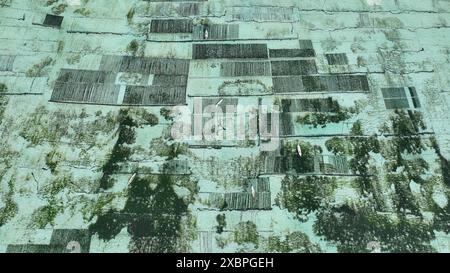 Wunderschöne Indonesische Algenfarm Aus Nächster Nähe Stockfoto