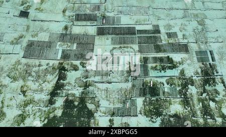 Wunderschöne Indonesische Algenfarm Aus Nächster Nähe Stockfoto