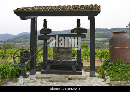 Weingut der Familie Sabaté i Coca in der Region Alt Penedès in der Provinz Barcelona, ​​Catalonia, Spanien Stockfoto