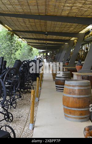 Weingut der Familie Sabaté i Coca in der Region Alt Penedès in der Provinz Barcelona, ​​Catalonia, Spanien Stockfoto