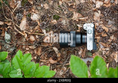 Die spiegellose Kamera A7c von Sony mit 85-mm-Objektiv liegt auf Laub im Wald Stockfoto