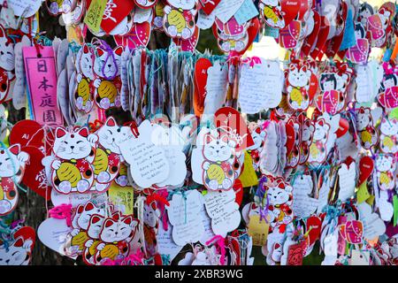 maneki neko japanisches Katzenbrett voller Nachrichten mit Glückwunsch Stockfoto