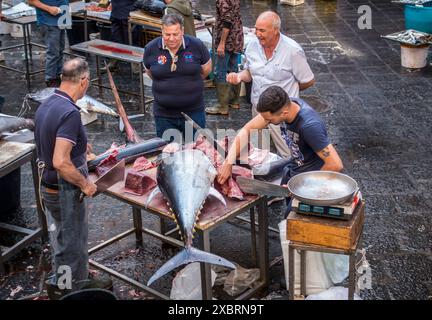 Zubereitung von fangfrischem Thunfisch auf dem Fischmarkt A' Piscaria in Catania, Sizilien, Italien Stockfoto