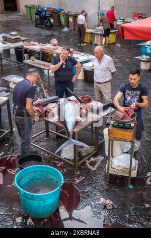 Zubereitung von fangfrischem Thunfisch auf dem Fischmarkt A' Piscaria in Catania, Sizilien, Italien Stockfoto