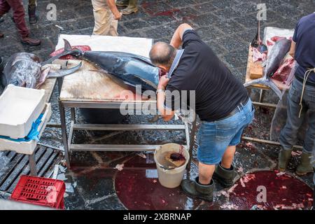 Zubereitung von fangfrischem Thunfisch auf dem Fischmarkt A' Piscaria in Catania, Sizilien, Italien Stockfoto