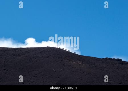 Ein Fernblick auf eine Gruppe von Wanderern, die hoch oben auf den schwarzen, mit Asche bedeckten Hängen des Ätna in Sizilien, Italien, geschildert sind Stockfoto