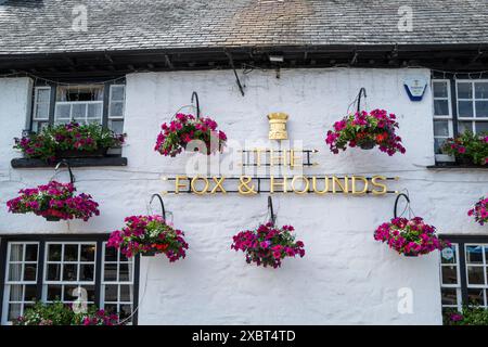 Hübsche Hängekörbe von Surfinia schmücken die Vorderseite des Fox & Hounds Publishauses in Comford in Cornwall, Großbritannien. Stockfoto