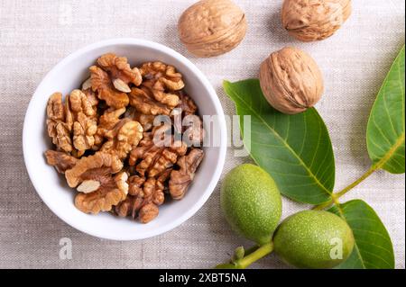 Walnusshälften in einer weißen Schüssel auf Leinengewebe. Geschälte, getrocknete Walnusskerne, reife Samen des gewöhnlichen Walnussbaums. Stockfoto