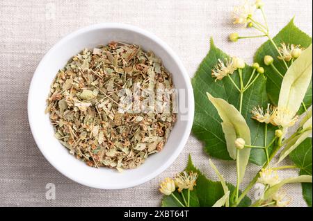 Lindenblumen in weißer Schüssel auf Leinenstoff. Getrocknete und frische Blüten, Früchte und Blätter der großblättrigen Linde oder Linde, Tilia platyphyllos Stockfoto