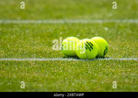 'S-HERTOGENBOSCH, NIEDERLANDE - 12. JUNI: Slazenger Wimbledon 2024 Tennisbälle werden am 3. Tag der Libema Open Grass Court Championships beim Autotron am 12. Juni 2024 in 's-Hertogenbosch, Niederlande gesehen (Foto: Rene Nijhuis/BSR Agency) Stockfoto