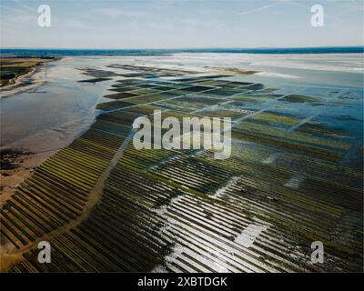 Luftaufnahme einer Austernfarm in Grandcamp, Normandie Stockfoto