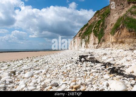 Danes Dyke Beach und Naturschutzgebiet auf Flamborough Headland in der Nähe von Bridlington, East Yorkshire, England, Großbritannien, an einem sonnigen Juni-Tag Stockfoto