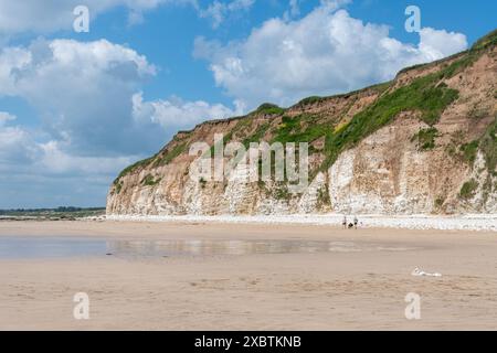 Danes Dyke Beach und Naturschutzgebiet auf Flamborough Headland in der Nähe von Bridlington, East Yorkshire, England, Großbritannien, an einem sonnigen Juni-Tag Stockfoto