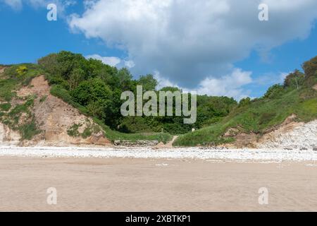 Danes Dyke Beach und Naturschutzgebiet auf Flamborough Headland in der Nähe von Bridlington, East Yorkshire, England, Großbritannien, an einem sonnigen Juni-Tag Stockfoto