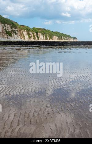 Danes Dyke Beach und Naturschutzgebiet auf Flamborough Headland in der Nähe von Bridlington, East Yorkshire, England, Großbritannien, an einem sonnigen Juni-Tag Stockfoto