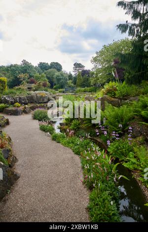 Burnby Hall Gardens and Water Lily Ponds, Pocklington, East Yorkshire, UK, ruhige Teiche umgeben von üppigem Grün und lebendigen Seerosen Stockfoto