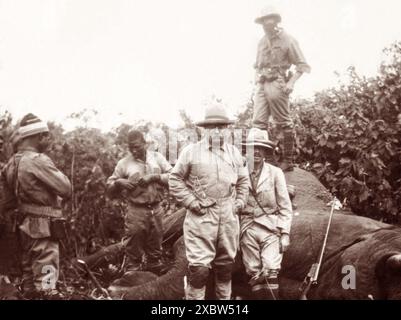 US-Ex-Präsident Theodore Roosevelt (1858–1919) stand über einem afrikanischen Elefanten, den er 1909 während der Smithsonian-Roosevelt African Expedition in Meru erschossen hatte, wo er zusammen mit seinem Sohn Kermit nach Exemplaren für das neue Naturkundemuseum des Smithsonian suchte. Stockfoto